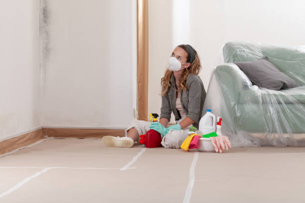 Reliable Mold Remediation contractor in Wollochet, WA by 24 Hour Mold Removal